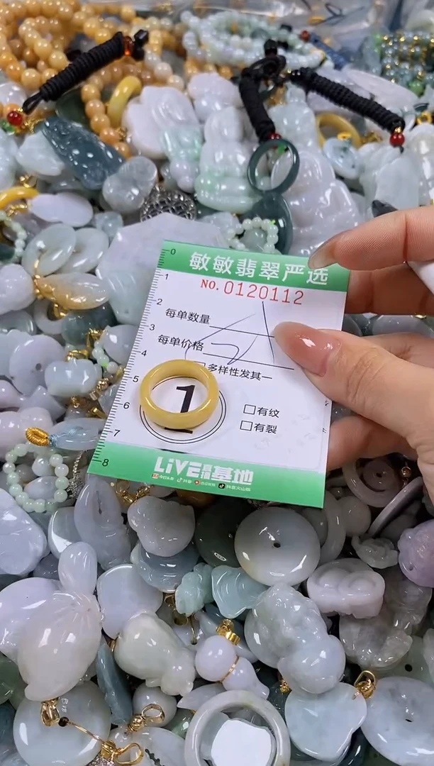 【闪购商品】翡翠颈饰未镶嵌闪购0120112多样性发其一