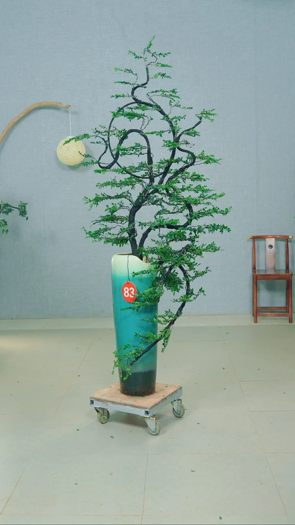 无花朵天**上广东小叶紫檀