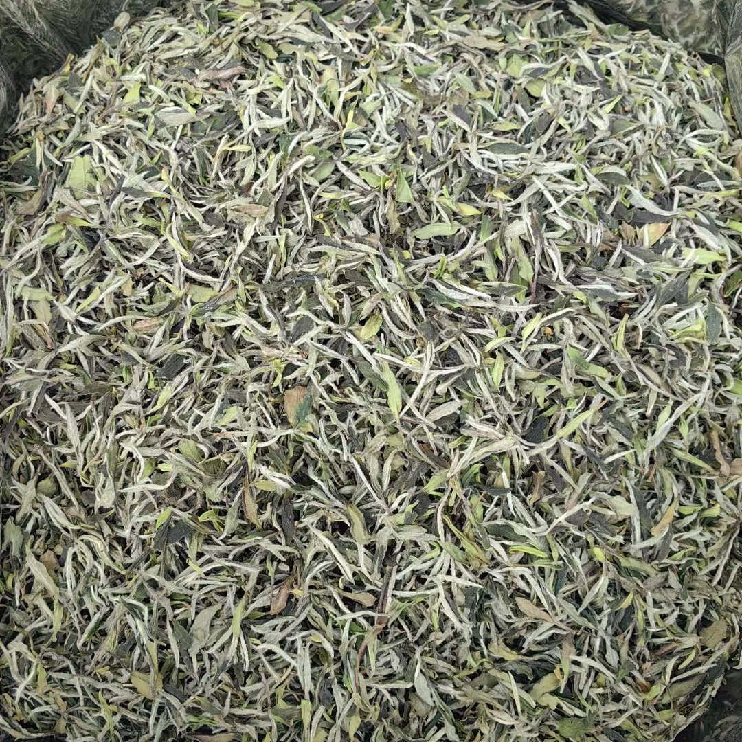 福鼎白牡丹(收茶链接)