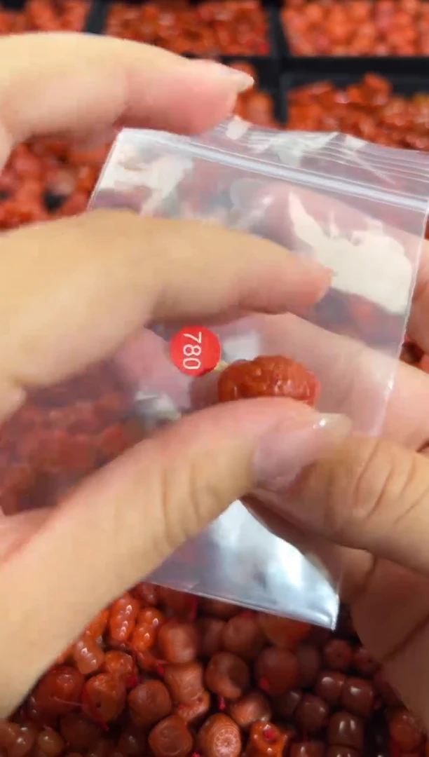 南红玛瑙未镶嵌颈饰1