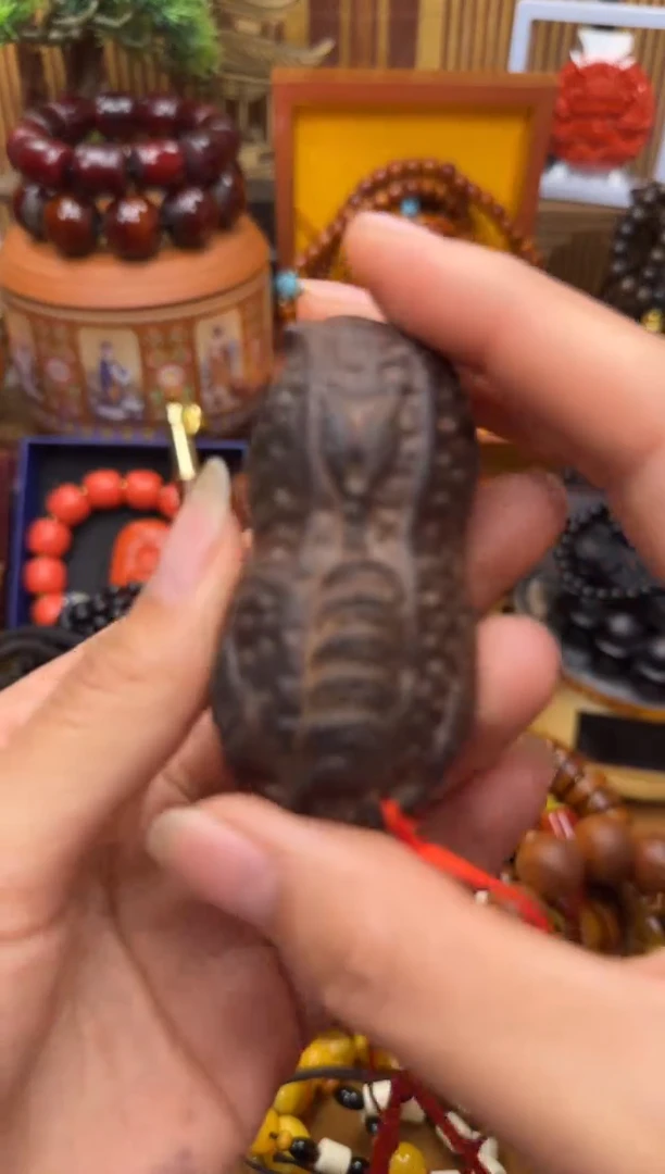 木所见即所得所见即所得