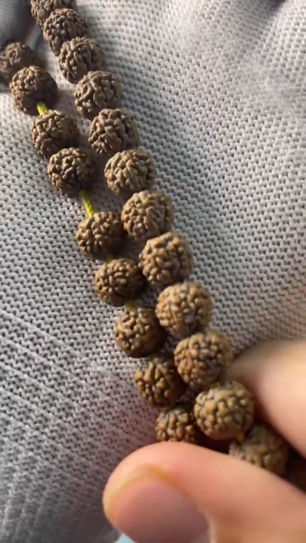【闪购商品】金刚菩提手串灰皮一代龙