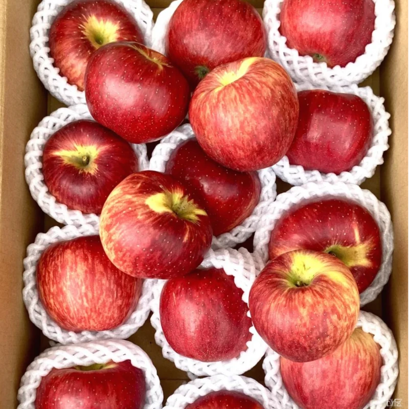 高原种植云南红露苹果新鲜采摘维生素C丰富自然美味健康新鲜水果