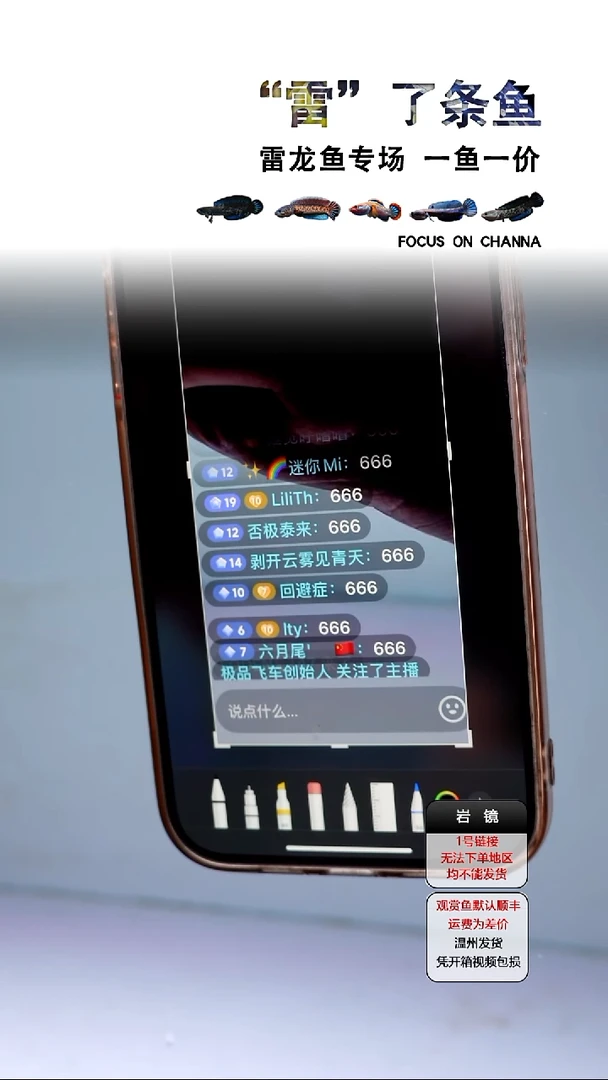 雷龙鱼L****h福袋不保损