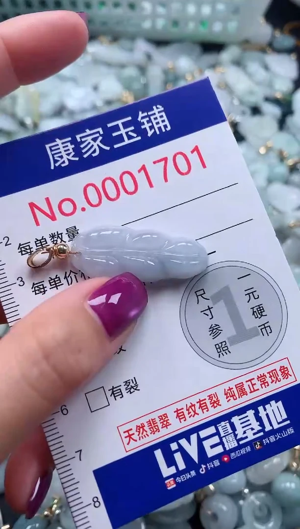 颈饰未镶嵌翡翠1701