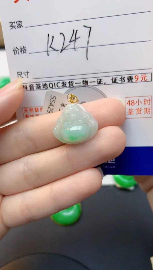 颈饰未镶嵌翡翠天然缅甸A货翡翠百元以上9元证书费自理