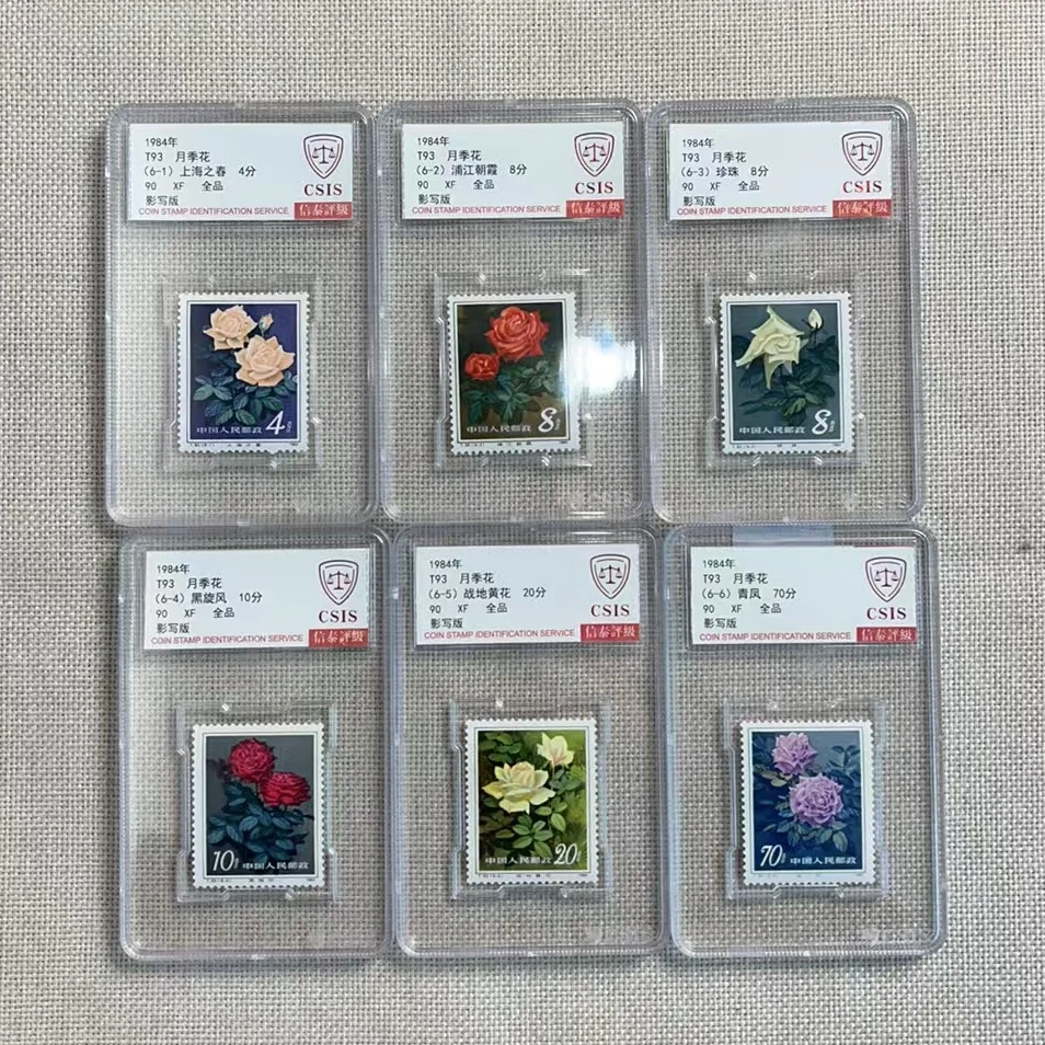 1984年 T93 月季花 90影写板