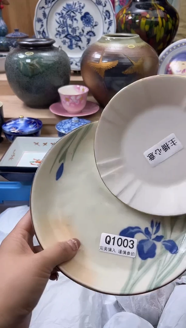 【闪购商品】瓷片1003qqqqqqqqqqqq