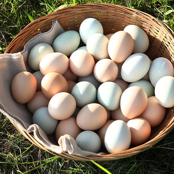 沂蒙状元山农家散养【土鸡蛋】混装50枚营养新鲜