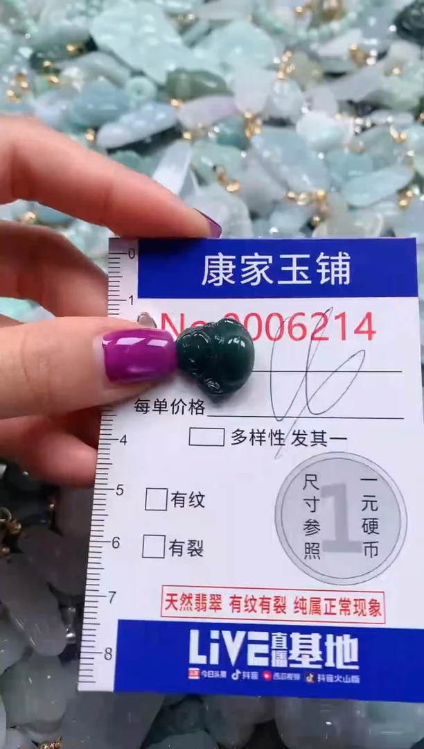 颈饰未镶嵌翡翠6214