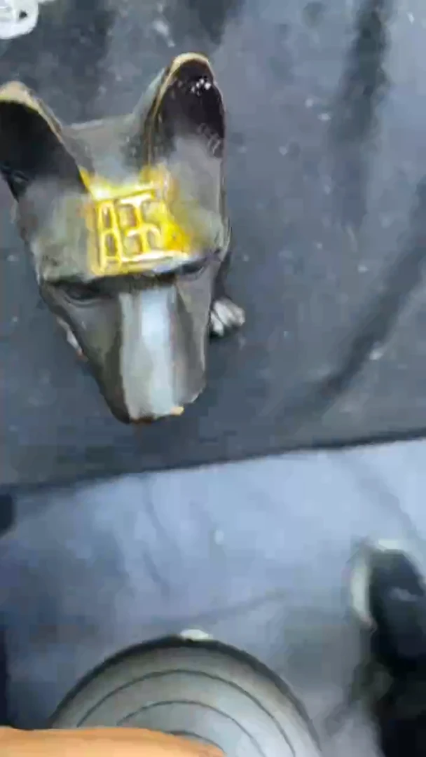 【闪购商品】其他