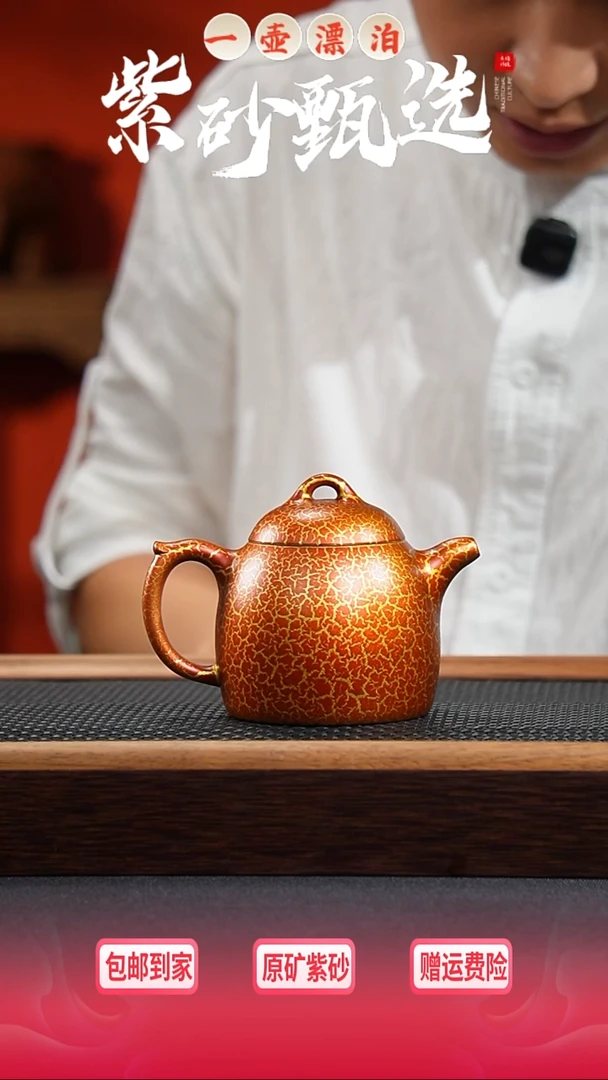茶壶紫砂 一壶漂泊紫砂茶器