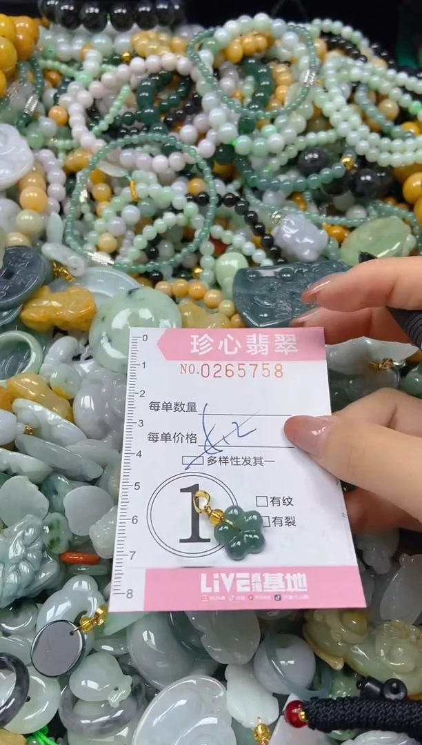 翡翠未镶嵌颈饰闪购0265758多样性发其一