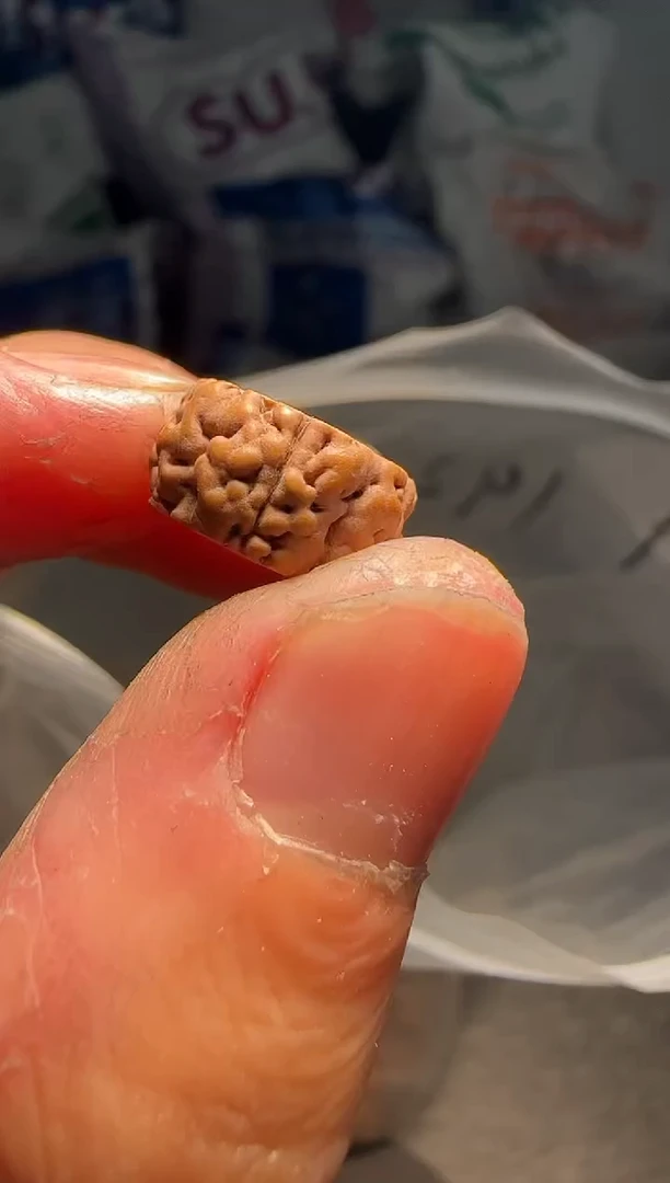 手串金刚菩提非全品龙切魔丸龙珠13-14mm一份一百颗