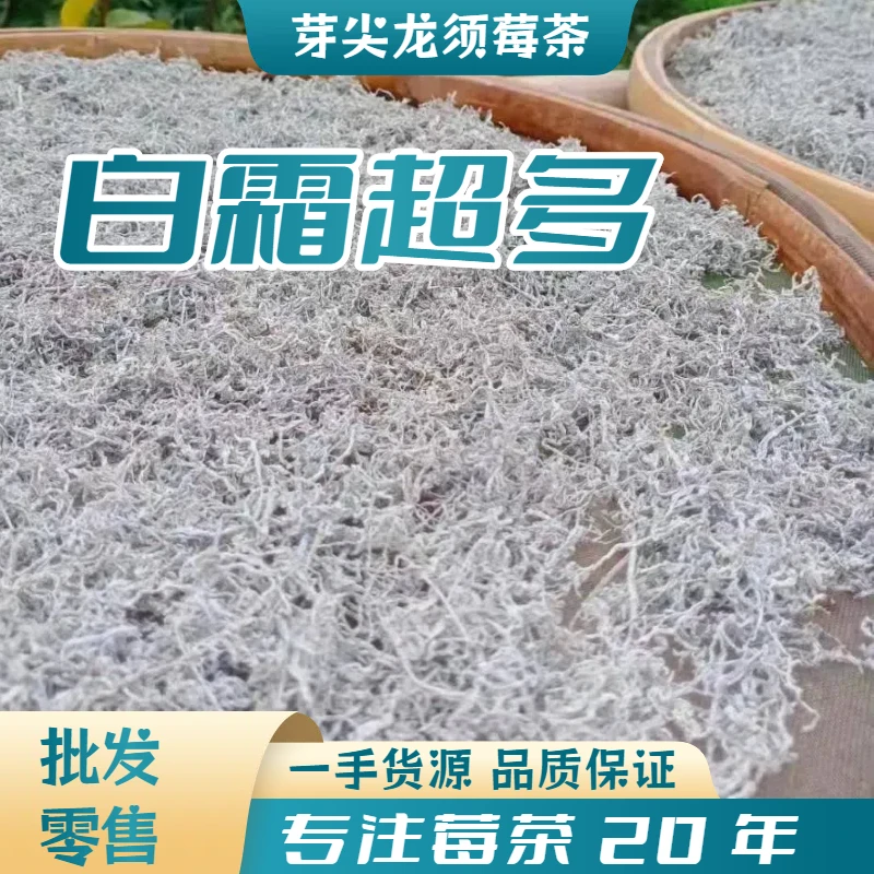 【没有干燥剂】【不宰称】白霜莓茶芽尖张家界【足称足量】高山茶园