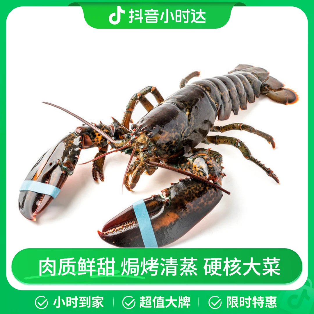 鲜活波士顿龙虾1只 400g