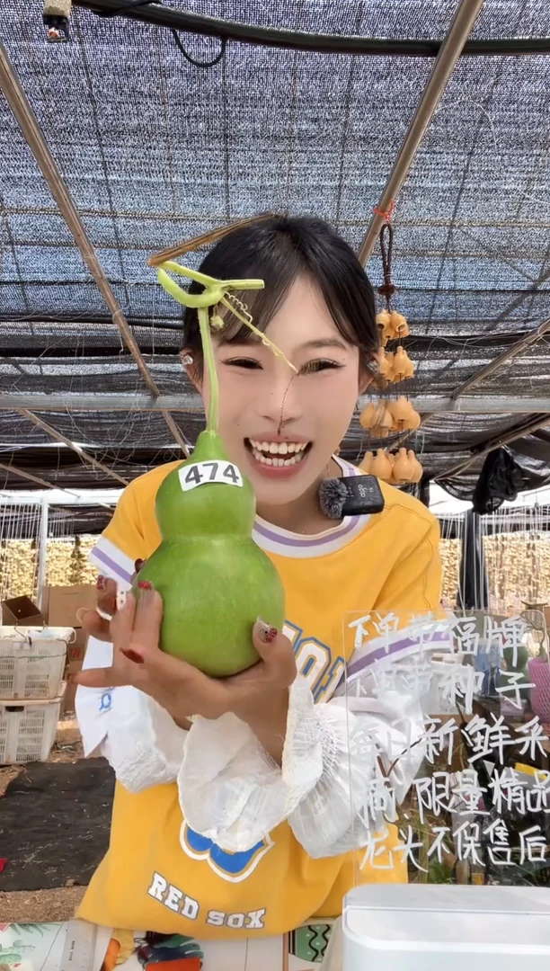 474天然葫芦摆件 一物一拍龙头不保售后