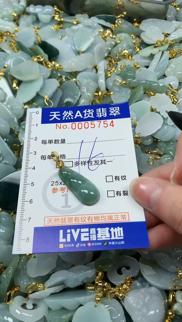 颈饰未镶嵌翡翠纯天然a货翡翠