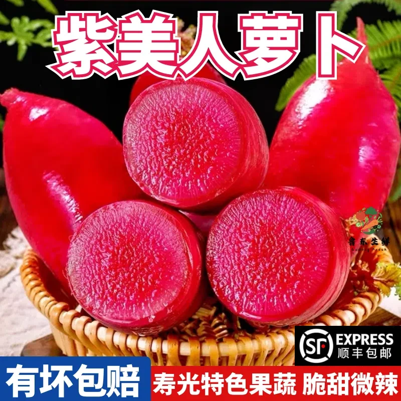 【现挖速发】紫美人凤梨水果萝卜红心里美萝卜生吃腌泡菜潍坊萝卜
