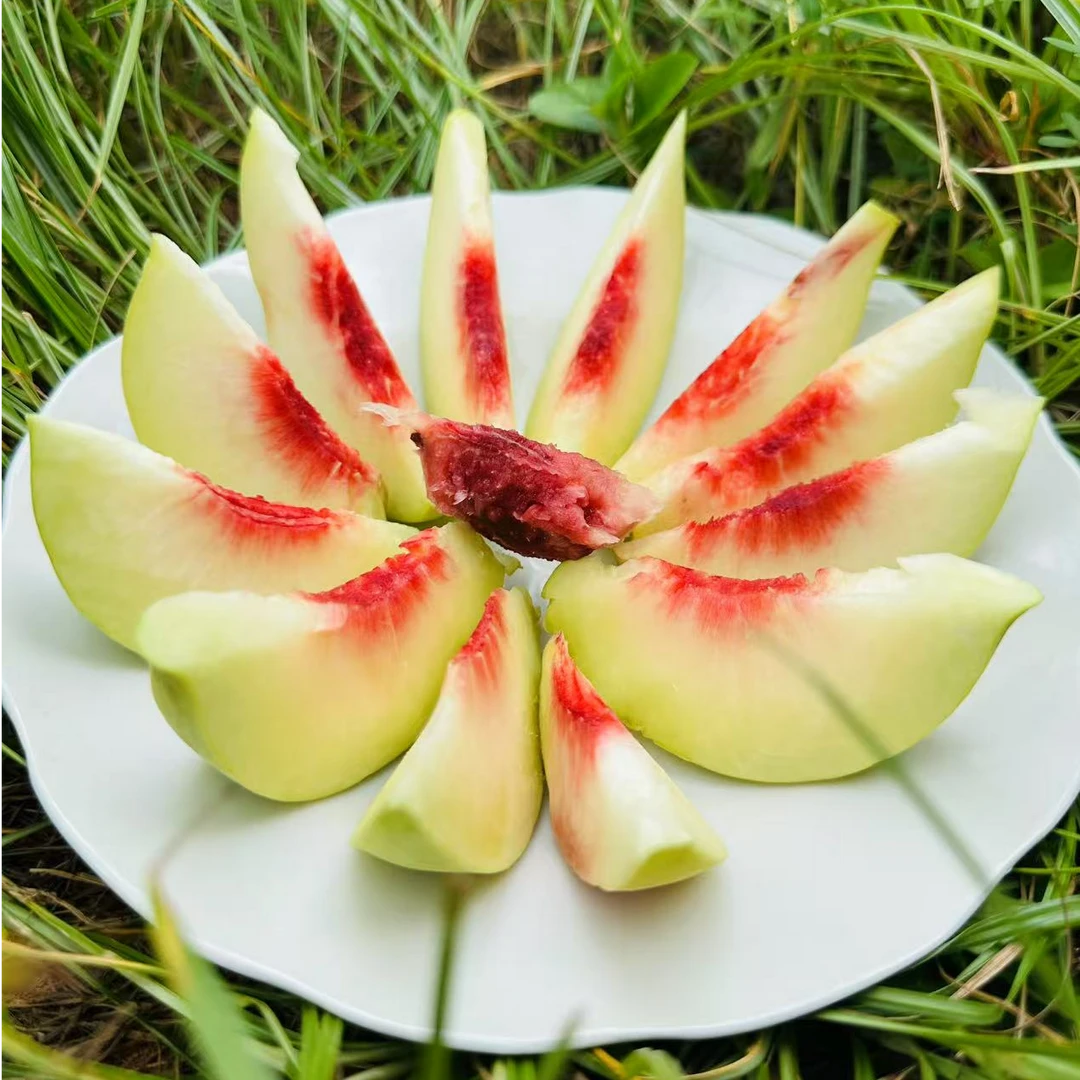 攸县菜花坪煜盛园菁香桃