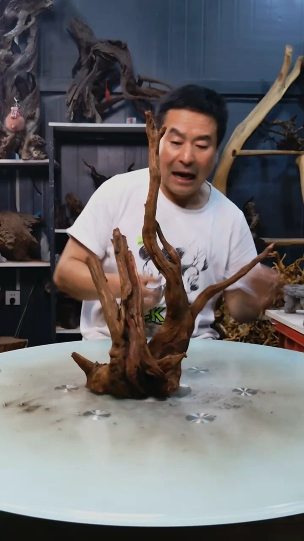 144清香阁清香阁清香阁