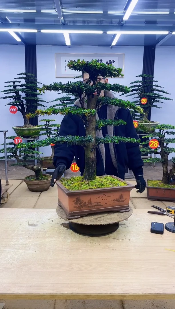 无花朵酱***我000000000000000000000000