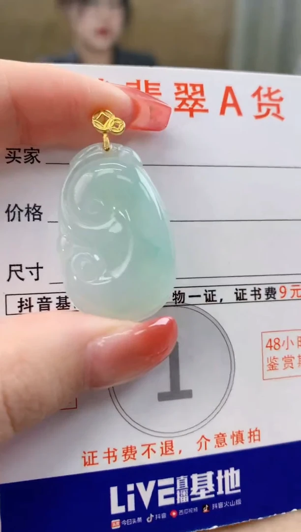 颈饰未镶嵌翡翠天然A货翡翠挂件