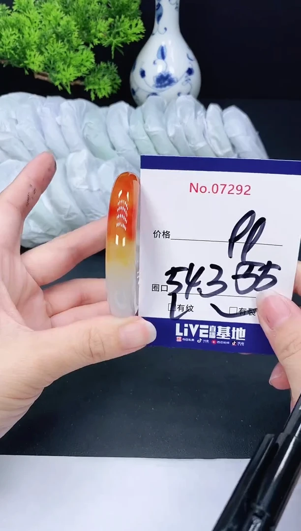 未镶嵌手镯翡翠7292