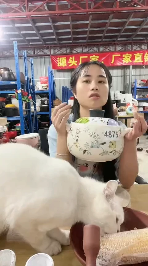 4875瑕疵2.8白锅带盖