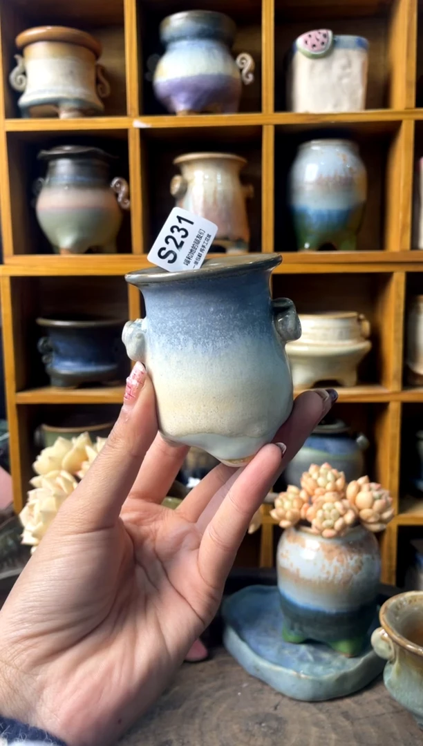 231内口5【多肉花盆多肉盆】