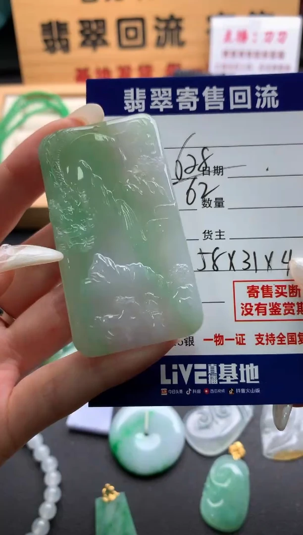 翡翠未镶嵌颈饰10139556