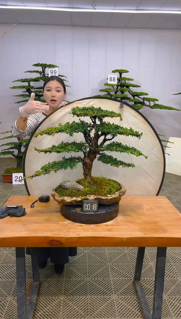 无花朵一物一拍一物一拍