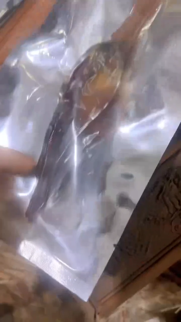 紫砂紫砂紫砂紫砂D