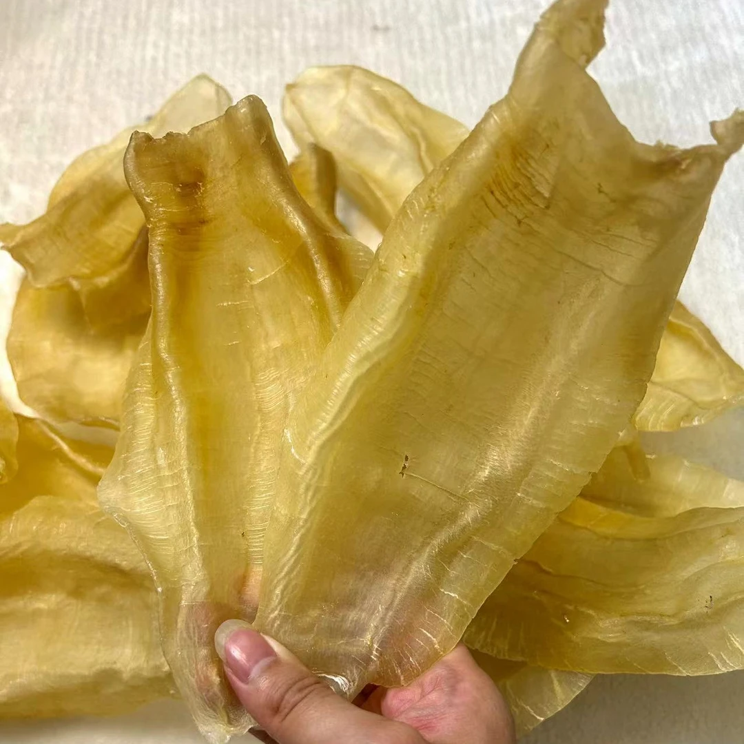 7头安南公安南花胶鱼胶实拍爽口厚肉不腥