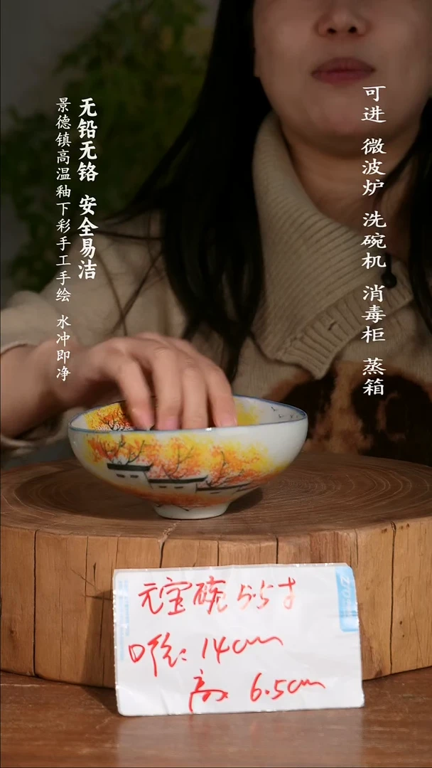 碗陶瓷景德镇高温瓷釉下彩手绘陶瓷