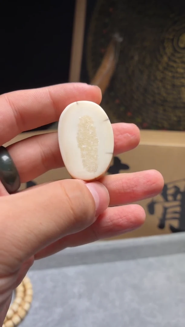 其他猛犸象牙QB19 虬系列饼子