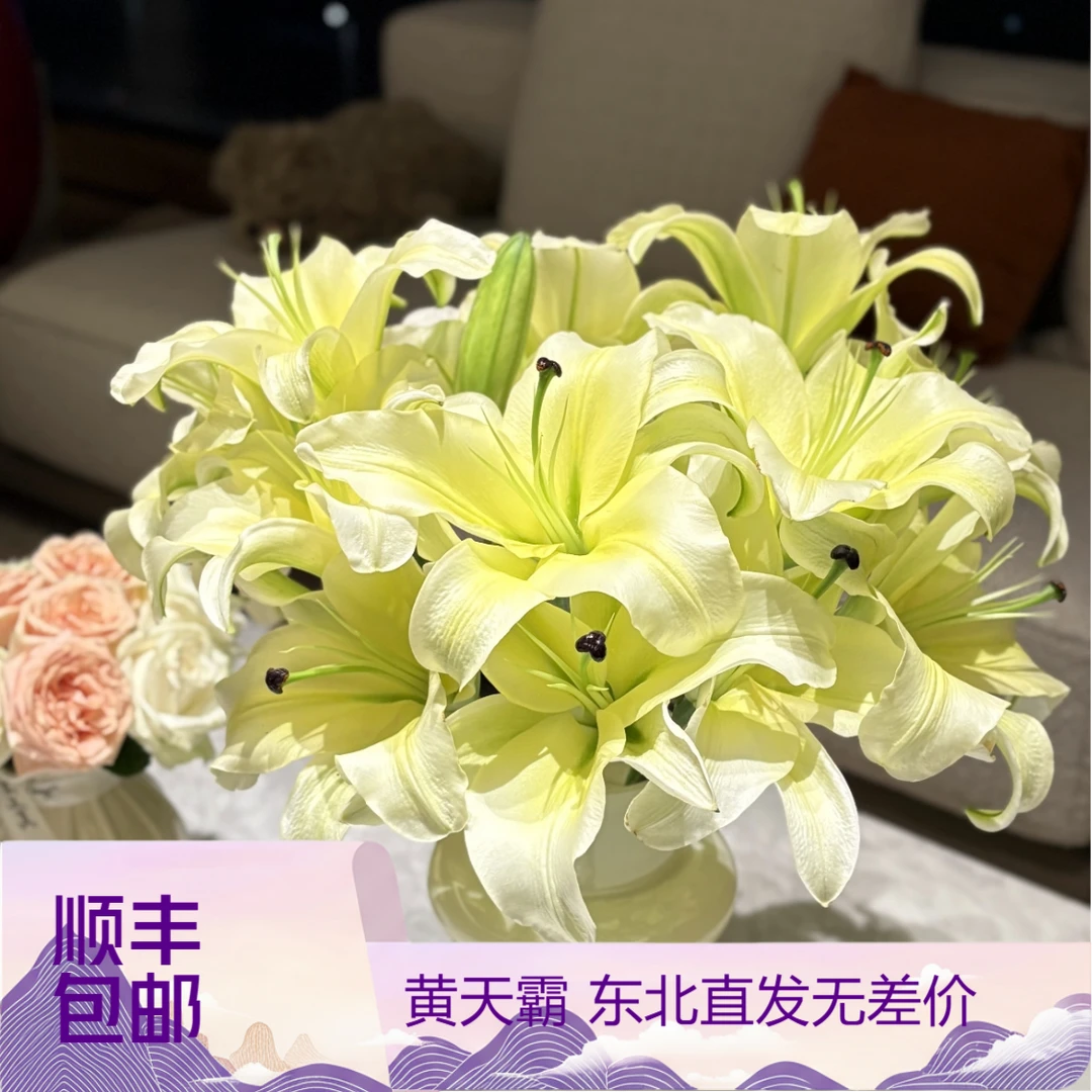 粗杆子（黄天霸）浓香型香水百合东北鲜花原产地直发鲜花顺丰包邮