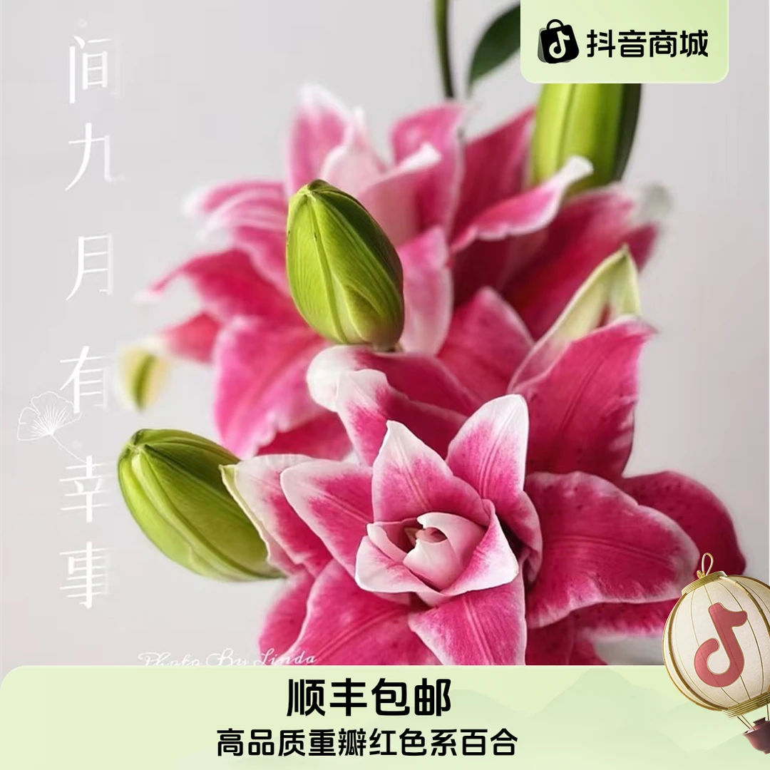 高品质迪奥【重瓣红色系百合】顺丰包邮