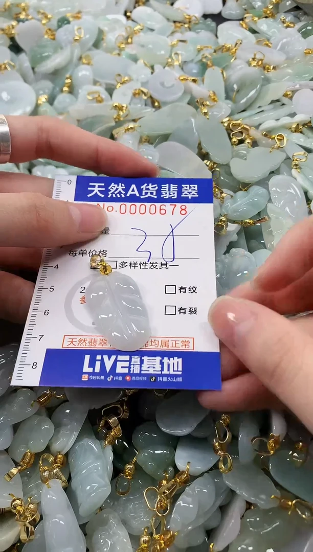 颈饰未镶嵌翡翠天然a货翡翠