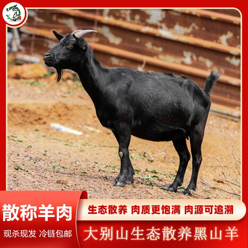 (羊肉散称)大别山散养黑山羊羊肉1-100号 现场散称冷链包邮