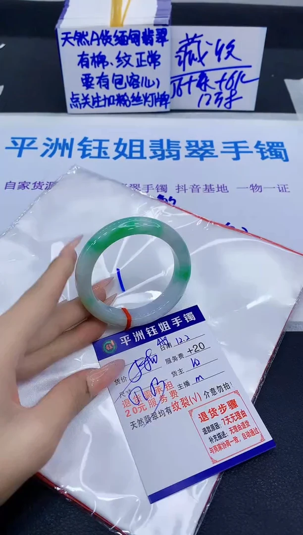 未镶嵌手镯翡翠111111
