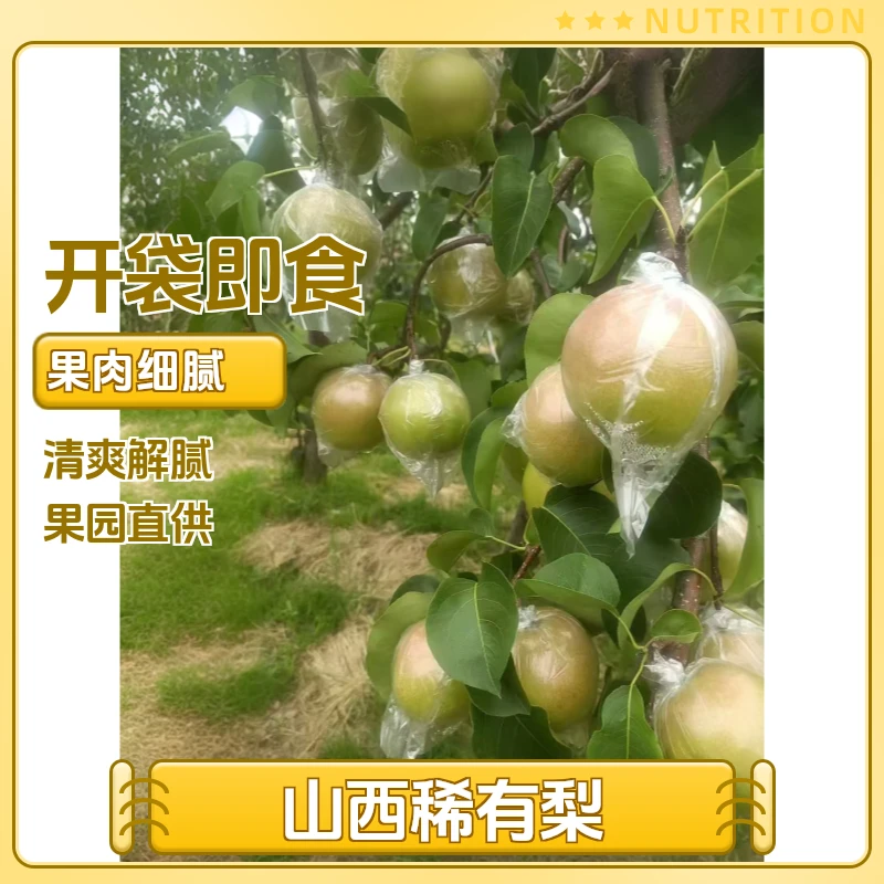 隰县玉露 香梨 礼盒装 顺丰包邮  精品大果 果园直发 有空格