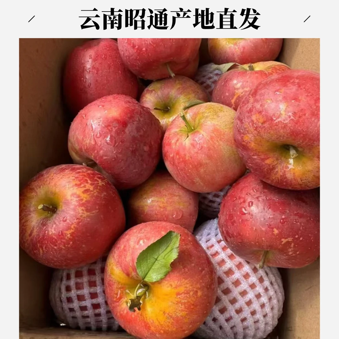 当季云南昭通冰糖心丑苹果新鲜现摘脆甜多汁产地直发