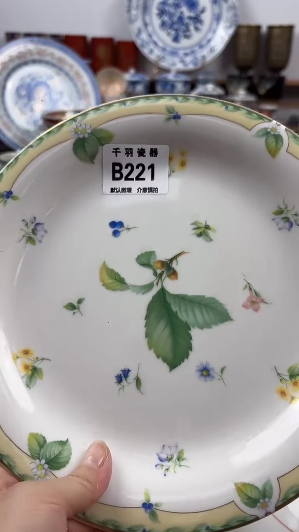 用****3千羽瓷器默认微暇B221