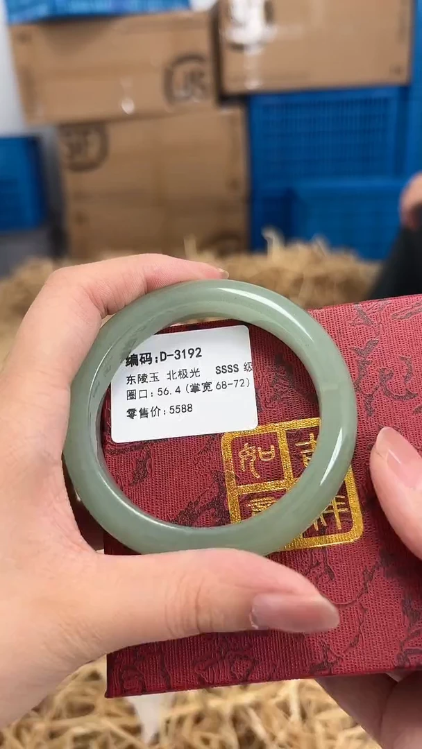 未镶嵌手镯石英质玉D-3192