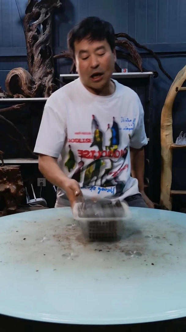 随机发货一筐溪流石4斤+9.9