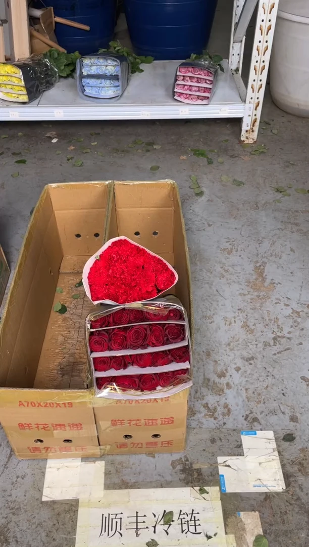 高原红1扎+红康2扎