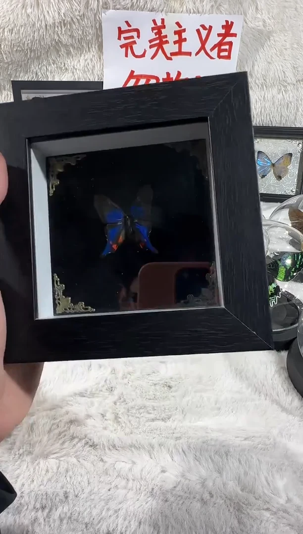 海洋之心精致小框