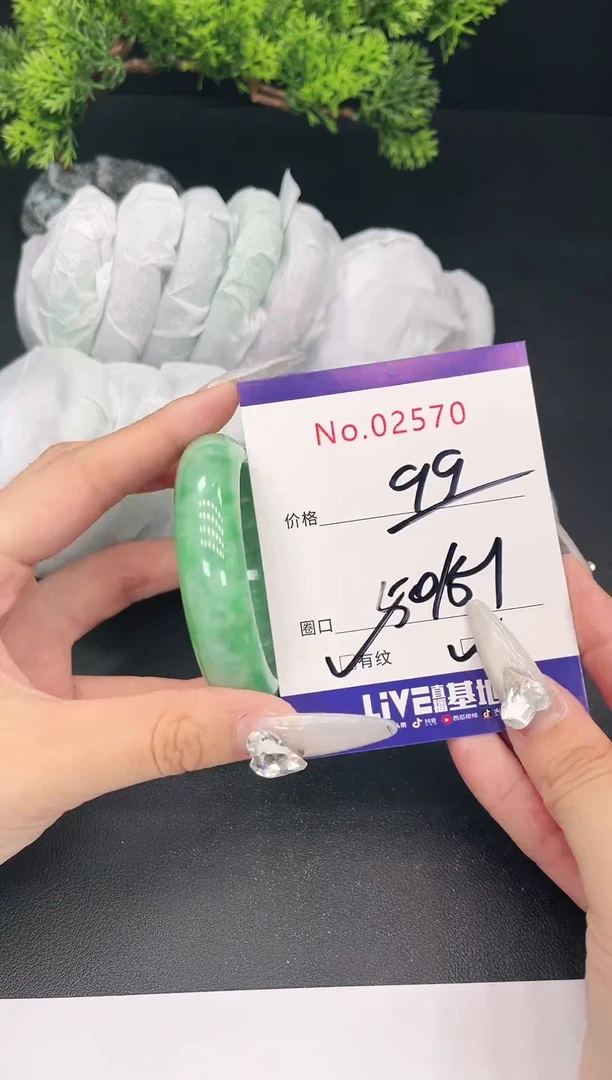 未镶嵌手镯翡翠2570