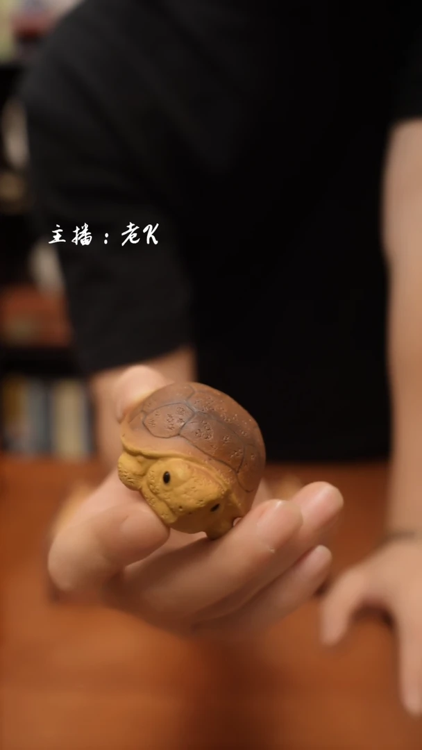 摆件乌龟摆件-样品-不退不换